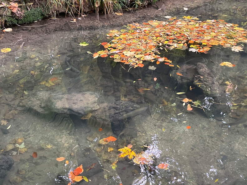 22-10-16 13-43-51 3047